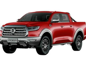 Great Wall Poer 2019-